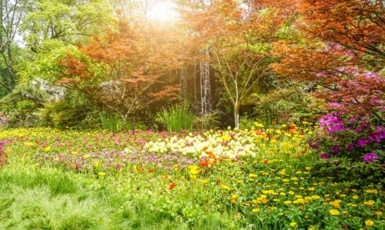 Habiter dans un lotissement écologique avec un espace de partage qui favorise la biodiversité